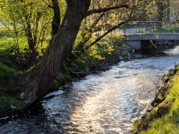 Eschbach (Frankfurt-Harheim)-4