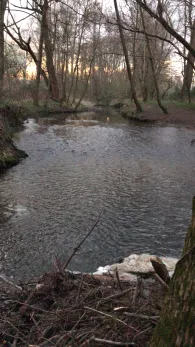 Eschbach (Frankfurt-Harheim)