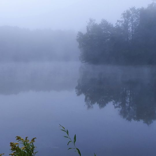 Bibrisee (Laupheim)-3