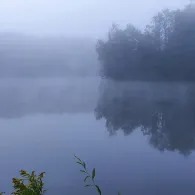 Bibrisee (Laupheim)-3