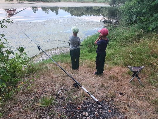 Bibrisee (Laupheim)-4