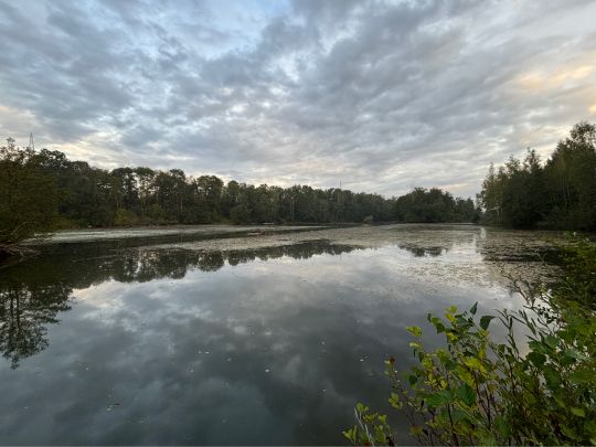 Bibrisee (Laupheim)-2