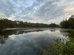 Bibrisee (Laupheim)-2