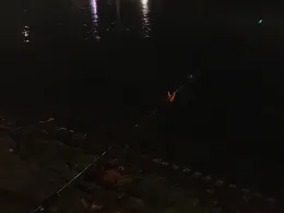 Schlossweiher (Benrath)