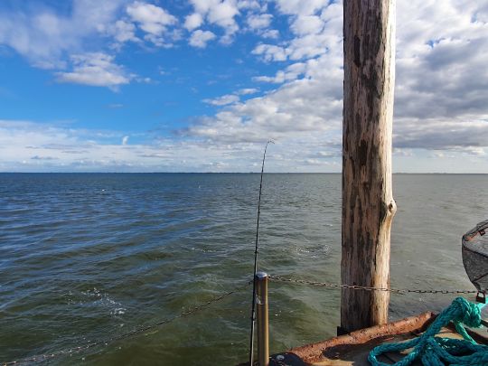 Nordsee (Pellworm)-1