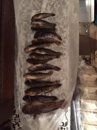 Neckar (Edingen-Neckarhausen)-3