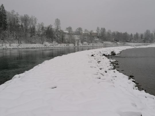 Inn (Wasserburg am Inn) angeln