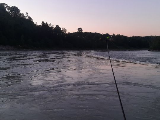 Inn (Wasserburg am Inn) angeln