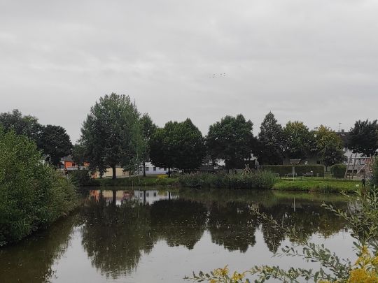 Bürgerweiher (Schnaittach)-1