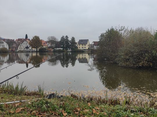 Bürgerweiher (Schnaittach)-4