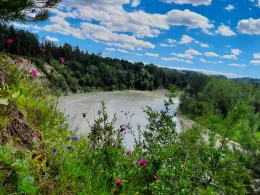 Inn (Mühldorf am Inn)-1