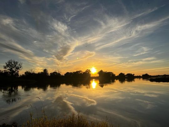Elbe (Lutherstadt Wittenberg)-2