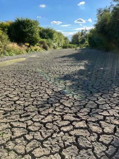 Beregnungsspeicher Drackenstedt