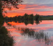 Saale (Salzmünde-Brachwitz)