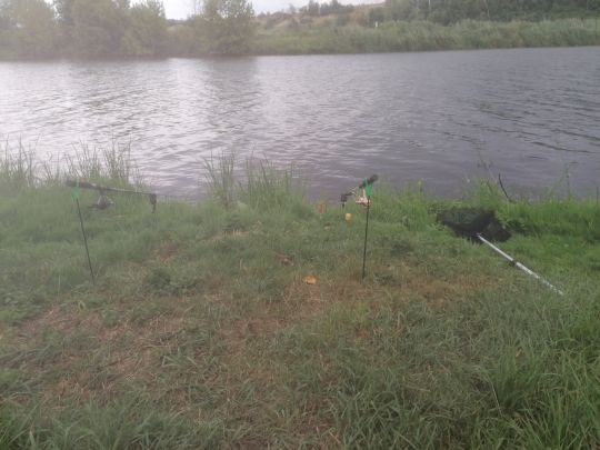 Saale (Salzmünde-Brachwitz)-4