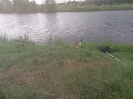 Saale (Salzmünde-Brachwitz)-4