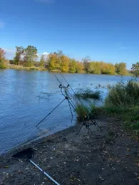 Saale (Salzmünde-Brachwitz)-3