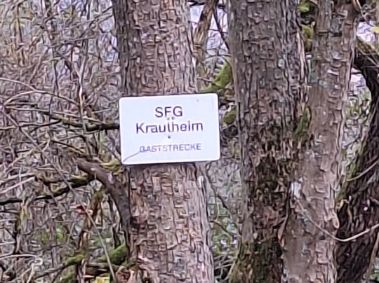 Jagst (Krautheim)-4