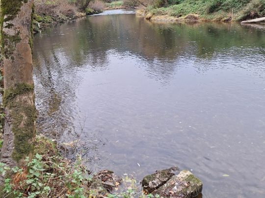 Jagst (Krautheim)-3