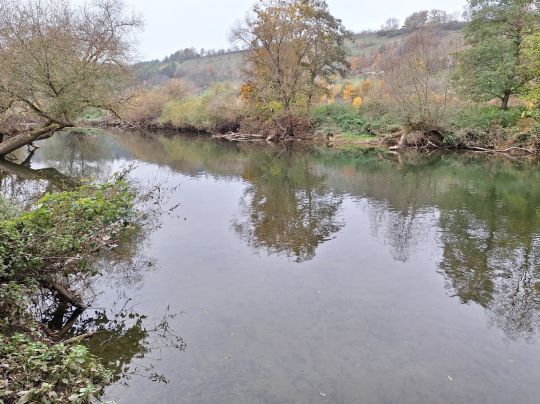 Jagst (Krautheim)-1