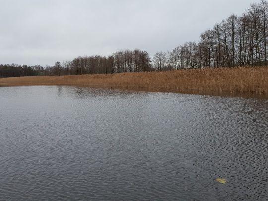 Pomelsee (Wesenberg)-2
