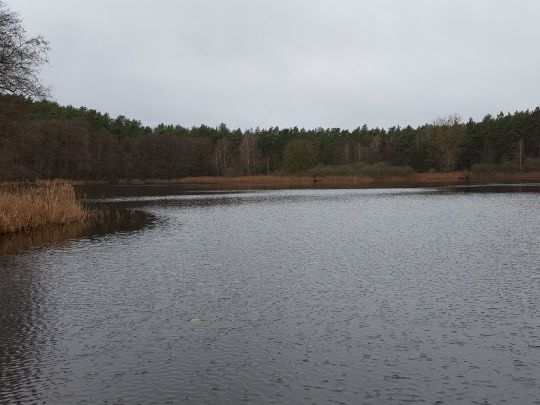 Pomelsee (Wesenberg)