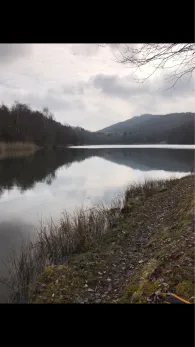 Hellkopfsee