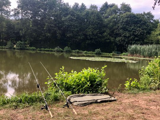 Hollersee (Buchen)