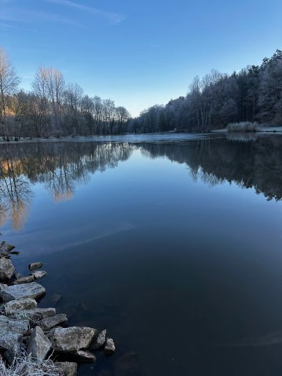 Hollersee (Buchen)-1