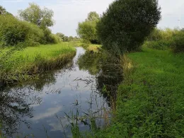 Stichkanal Lägerdorf-4