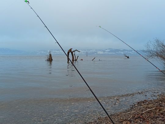 Bodensee (Langenargen)-4