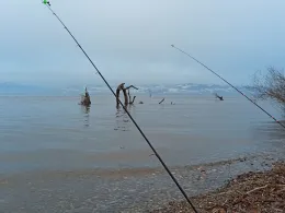 Bodensee (Langenargen)-4