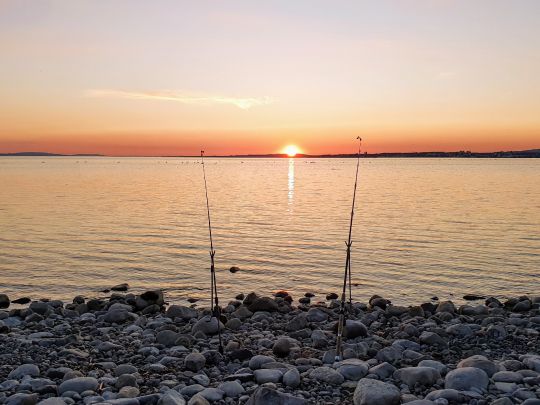 Bodensee (Langenargen)-2