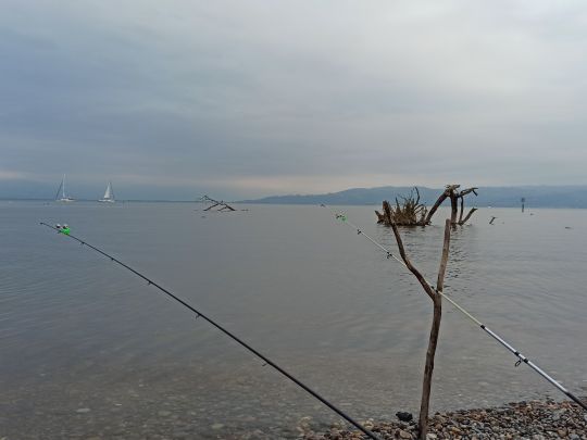 Bodensee (Langenargen)-1