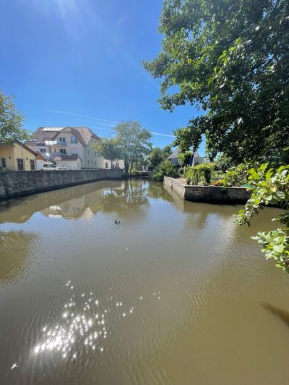 Burgweiher (Friedelsheim)-1