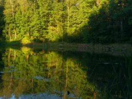 Försterloch (Thräna)-4