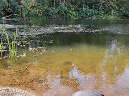 Försterloch (Thräna)-1