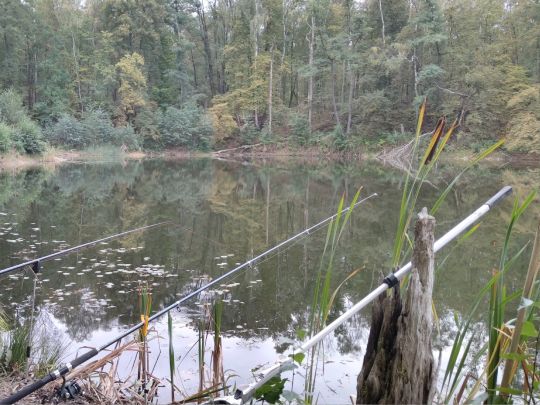 Försterloch (Thräna)