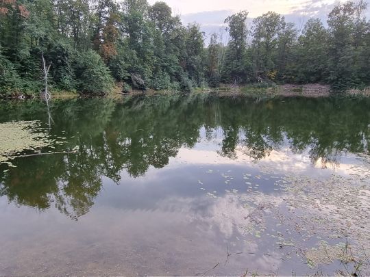 Försterloch (Thräna)-3