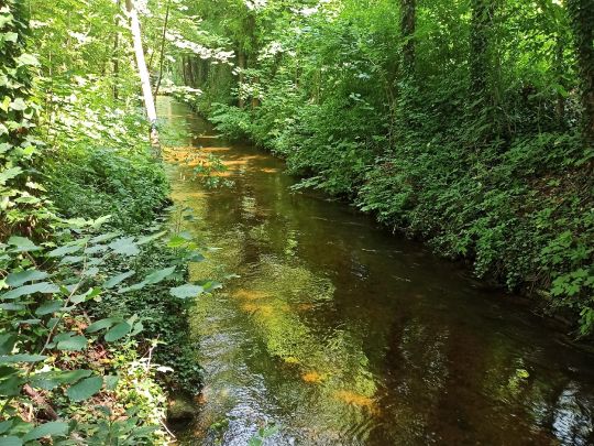 Nymphenburger Kanal-2