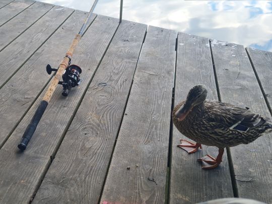 Hartsee (Eggstätt)-4