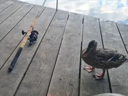 Hartsee (Eggstätt)-4