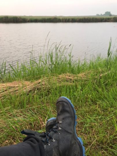 Teiche Offenwarden angeln