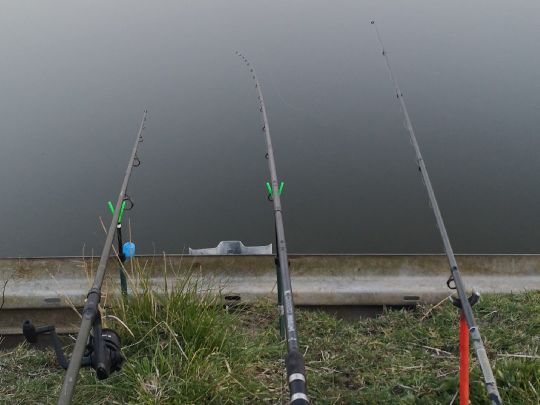 Teiche Offenwarden-1