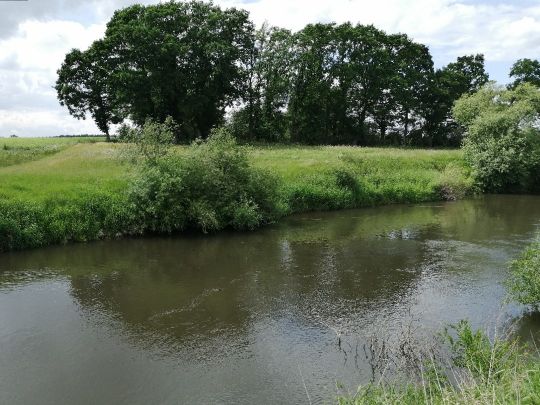 Leine (Mandelsloh/Esperke)-2