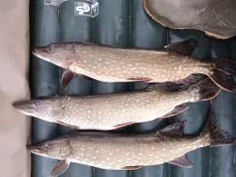 Speicher Faulmühle-2