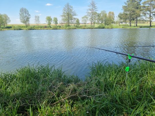 Schneiderseen (Cham)-3