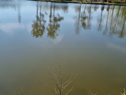 Schneiderseen (Cham)-1