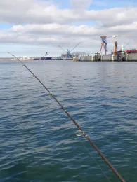 Kieler Förde (Düsternbrook)-2