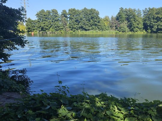 Möllenzugsee-1